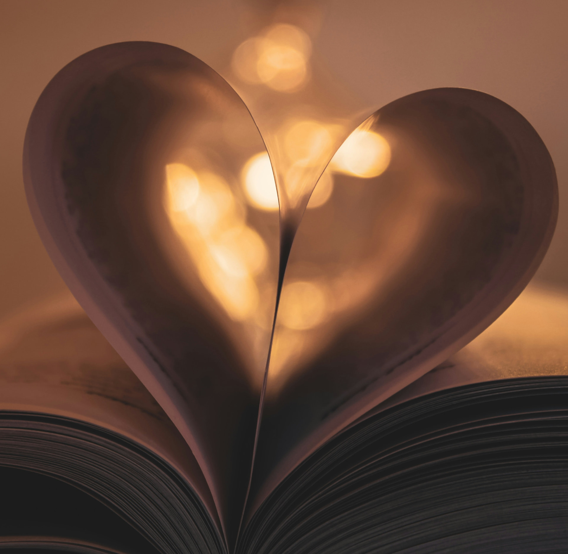 Paper Hearts by L. van Wyk