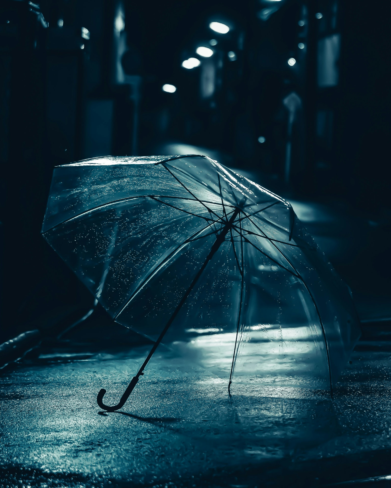 After the Rain Comes by T. Mokoena