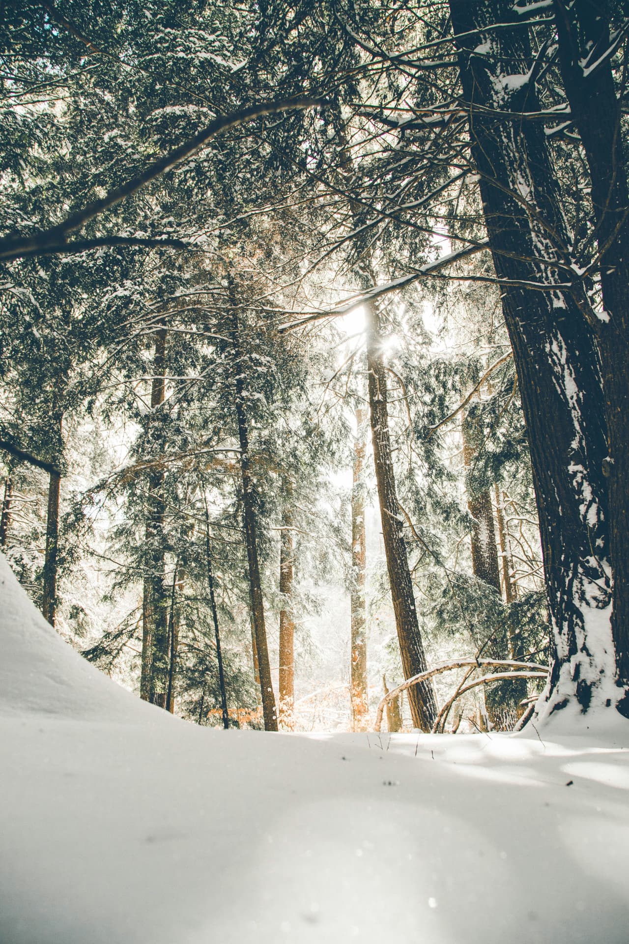 The Winter I Found Love by N. Dlamini